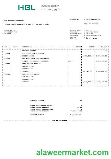 PAKISTAN HBL business utility bill Word and PDF template